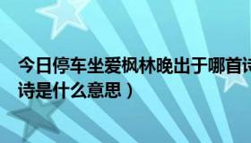 今日停车坐爱枫林晚出于哪首诗（停车坐爱枫林晚请问这句诗是什么意思）