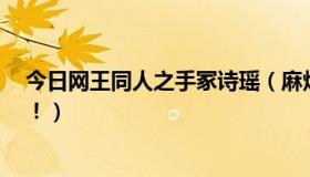 今日网王同人之手冢诗瑶（麻烦要网王同人主幸村的小说！！）