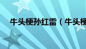 牛头梗孙红雷（牛头梗孙红雷黄渤柴犬）