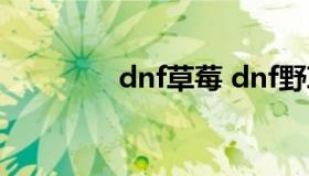 dnf草莓 dnf野草莓的故事