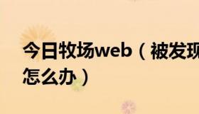 今日牧场web（被发现使用牧场外挂请问该怎么办）