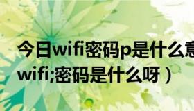 今日wifi密码p是什么意思（wifi:t:wpa;p:;s:wifi;密码是什么呀）