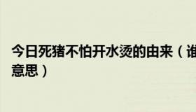 今日死猪不怕开水烫的由来（谁告诉我:死猪不怕开水烫什么意思）