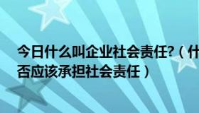 今日什么叫企业社会责任?（什么是企业社会责任，企业是否应该承担社会责任）