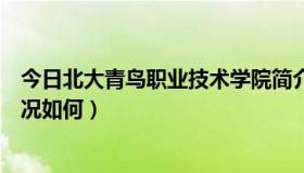 今日北大青鸟职业技术学院简介洛阳（洛阳北大青鸟就业情况如何）