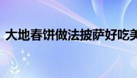 大地春饼做法披萨好吃美食 西沙路大地春饼