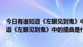 今日有谁知道《左眼见到鬼》中的插曲是什么名字（有谁知道《左眼见到鬼》中的插曲是什么）