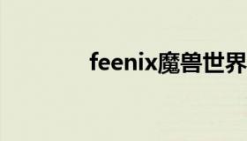 feenix魔兽世界 魔兽世界fs