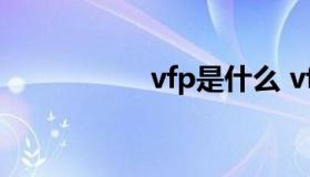 vfp是什么 vfp啥意思