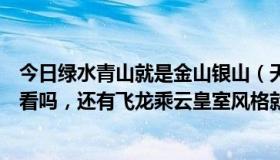 今日绿水青山就是金山银山（天龙八部，飞龙乘云不染色好看吗，还有飞龙乘云皇室风格就是橘色风格吧）