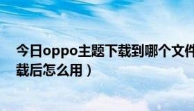 今日oppo主题下载到哪个文件夹（oppoa203手机主题下载后怎么用）