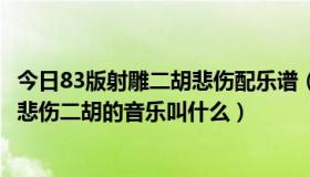 今日83版射雕二胡悲伤配乐谱（跪求83版射雕英雄传里那段悲伤二胡的音乐叫什么）