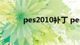 pes2010补丁 pes补丁怎么用）