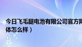 今日飞毛腿电池有限公司官方网站（飞毛腿移动电源好吗具体怎么样）