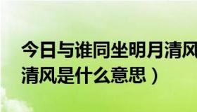 今日与谁同坐明月清风与我（与谁同坐 明月清风是什么意思）