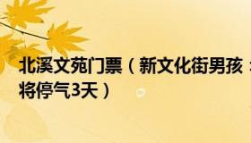 北溪文苑门票（新文化街男孩：“北溪-1”管道8月31日起将停气3天）