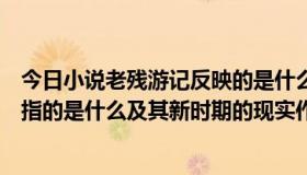 今日小说老残游记反映的是什么时期的社会现实（两个务必指的是什么及其新时期的现实作用）