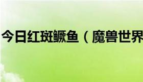 今日红斑鳜鱼（魔兽世界红腹鳜鱼多少G1组）