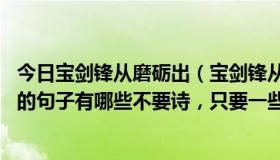 今日宝剑锋从磨砺出（宝剑锋从磨砺出,梅花香自苦寒来类似的句子有哪些不要诗，只要一些像这样的名言警句！）