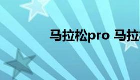 马拉松pro 马拉松pro跑车）