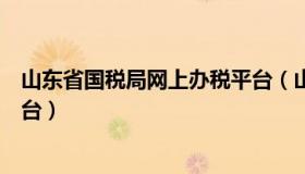 山东省国税局网上办税平台（山东省国家税务局网上办税平台）