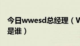 今日wwesd总经理（WWE2010新任总经理是谁）