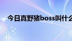 今日真野猪boss叫什么（真野猪怎么刷）