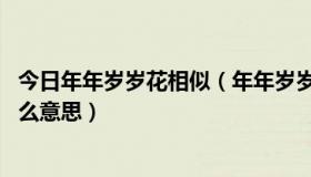 今日年年岁岁花相似（年年岁岁花相似 岁岁年年人不同是什么意思）