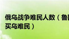 俄乌战争难民人数（鲁国平：乌媒称俄试图收买乌难民）