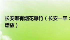 长安哪有烟花爆竹（长安一卒：委员建议禁放烟花改为限时燃放）