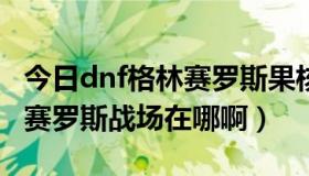 今日dnf格林赛罗斯果核哪里获得（DNF格林赛罗斯战场在哪啊）