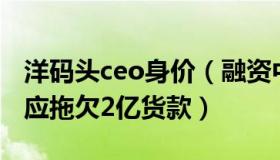 洋码头ceo身价（融资中国：洋码头创始人回应拖欠2亿货款）