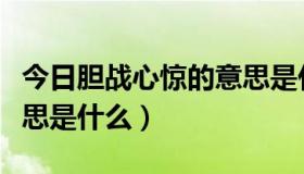 今日胆战心惊的意思是什么啊（胆战心惊的意思是什么）