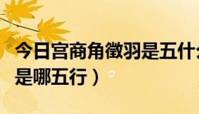 今日宫商角徵羽是五什么（宫商角徵羽对应的是哪五行）