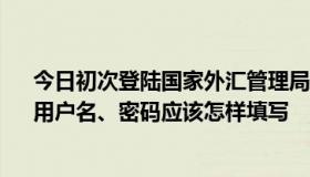 今日初次登陆国家外汇管理局网上服务平台  ，企业代码、用户名、密码应该怎样填写