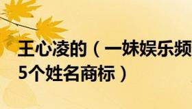 王心凌的（一妹娱乐频道：王心凌申请注册45个姓名商标）