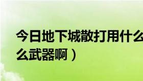 今日地下城散打用什么武器（DNF散打用什么武器啊）