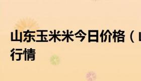 山东玉米米今日价格（山东玉米今日最新价格行情