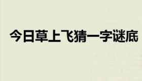 今日草上飞猜一字谜底（草上飞 (猜一字)）