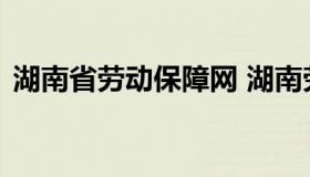 湖南省劳动保障网 湖南劳动保障公共服务网