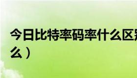 今日比特率码率什么区别（比特率和码率是什么）