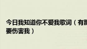 今日我知道你不爱我歌词（有那首歌的歌词有爱我爱我就不要伤害我）