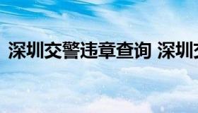 深圳交警违章查询 深圳交警机动车违章查询