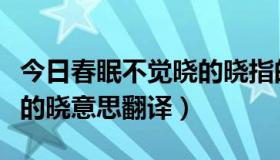 今日春眠不觉晓的晓指的是什么（春眠不觉晓的晓意思翻译）