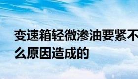 变速箱轻微渗油要紧不 变速箱轻微渗油是什么原因造成的