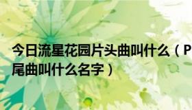 今日流星花园片头曲叫什么（PPS上《流星花园DVD版》片尾曲叫什么名字）