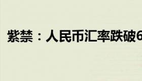 紫禁：人民币汇率跌破6.9（未来走势如何）