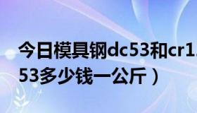 今日模具钢dc53和cr12（DC53模具钢材DC53多少钱一公斤）