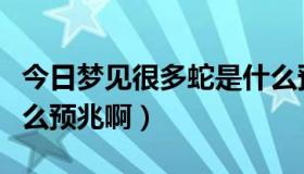 今日梦见很多蛇是什么预兆（梦见无头人是什么预兆啊）