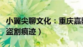 小翼尖聊文化：重庆嘉陵江现巨大阴沉木（有盗割痕迹）